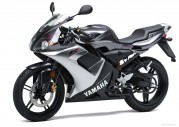 Yamaha TZR50